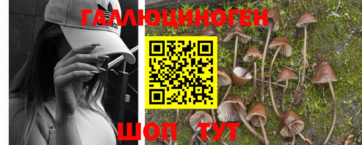 Псилоцибиновые грибы мухоморы Новочебоксарск