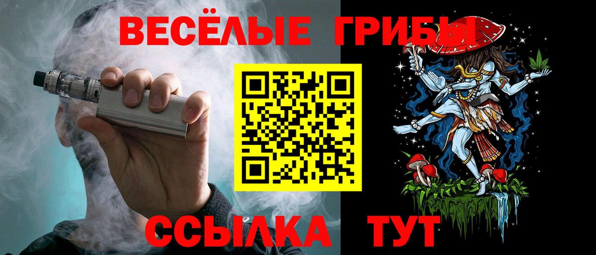 Галлюциногенные грибы прущие грибы  Вход с VPN  Новочебоксарск 